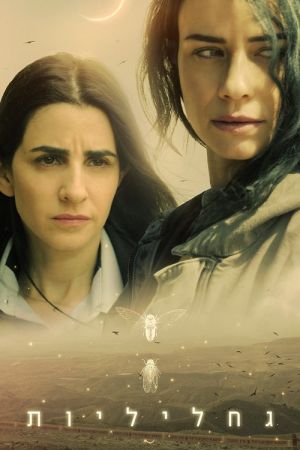 Lucioles streaming