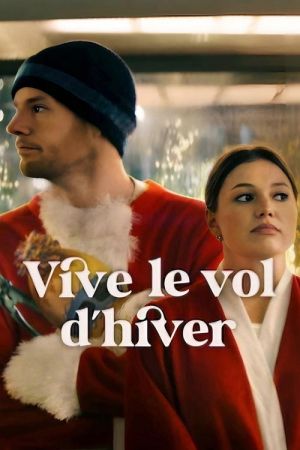 Vive le vol d'hiver streaming