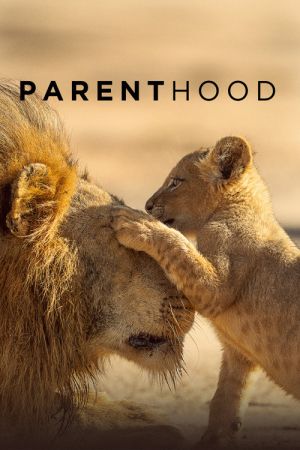Être Parent streaming