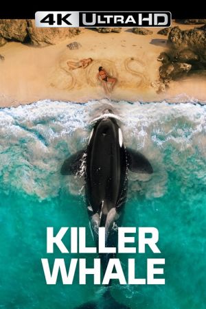 Killer Whale streaming