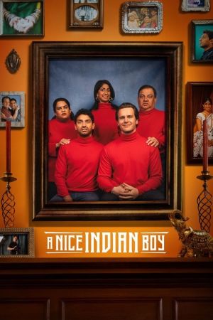 A Nice Indian Boy streaming