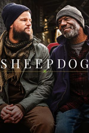 Sheepdog streaming