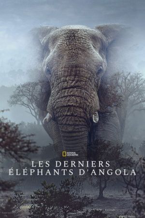 Ghost Elephants streaming