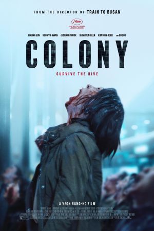 Colony streaming